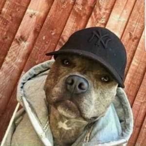 Meet your Posher, Alejandro